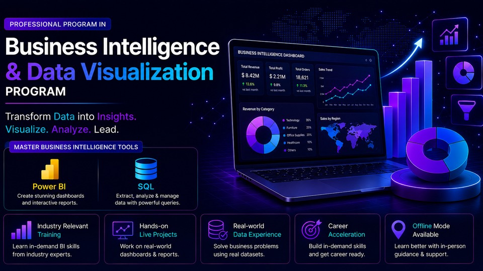 Business Intelligence & Data Visualization Program